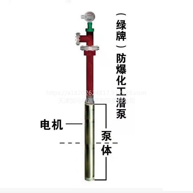 天津绿牌适用于地下罐防爆液下泵